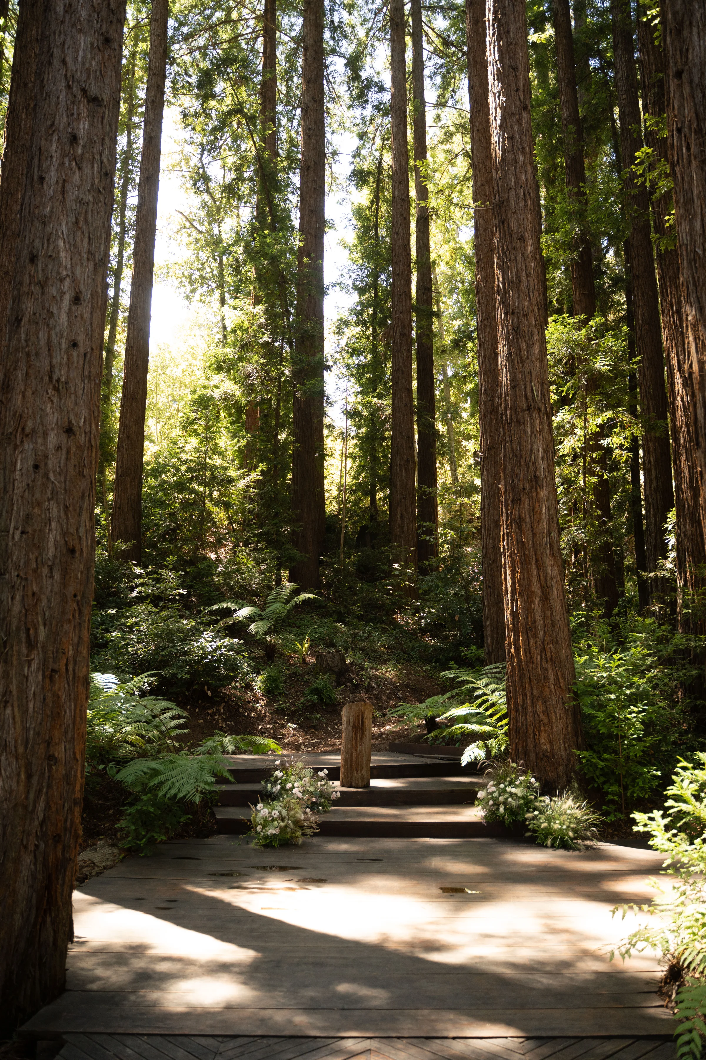 Woodland ceremony platform framed by tall redwoods, ferns, and low floral arrangements