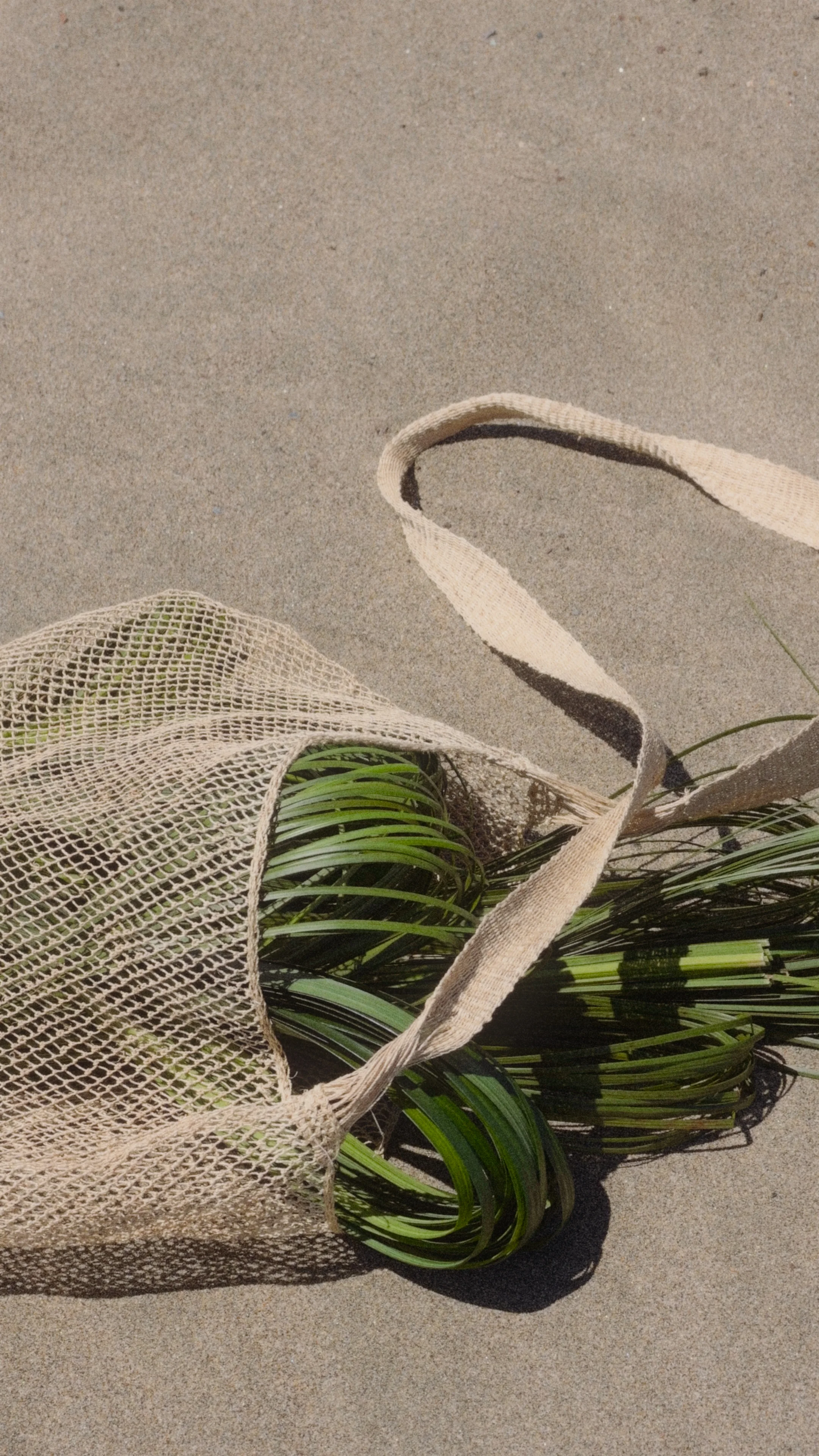 A mesh tote holds a bundle of long green leaves with their ends curled into loops