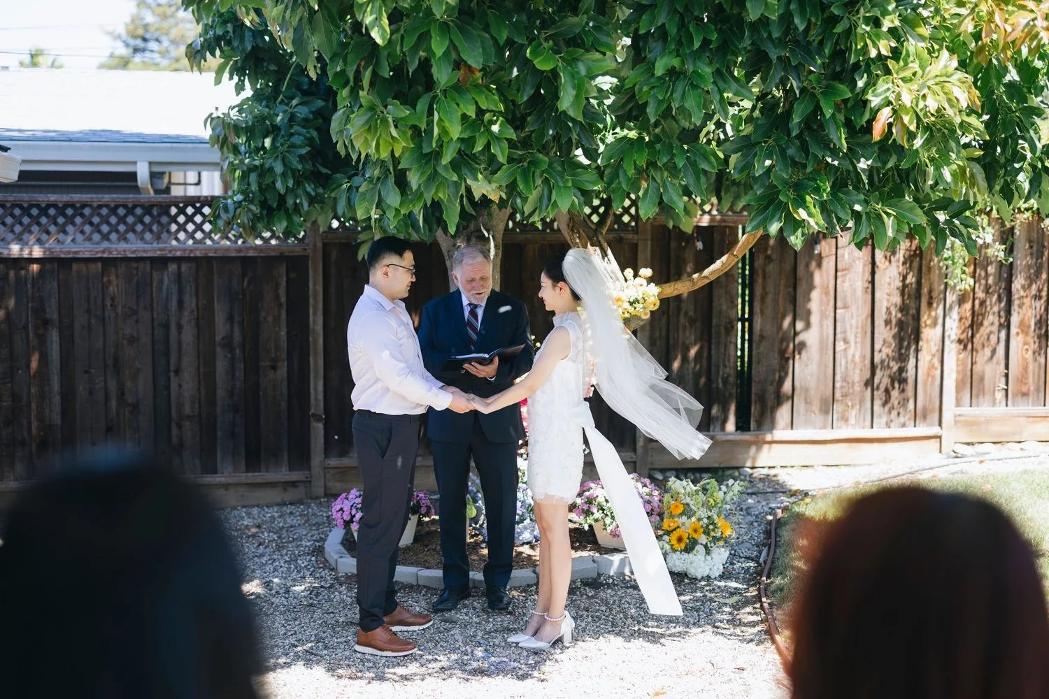 Backyard ceremony under a leafy tree, the couple holding hands before the officiant