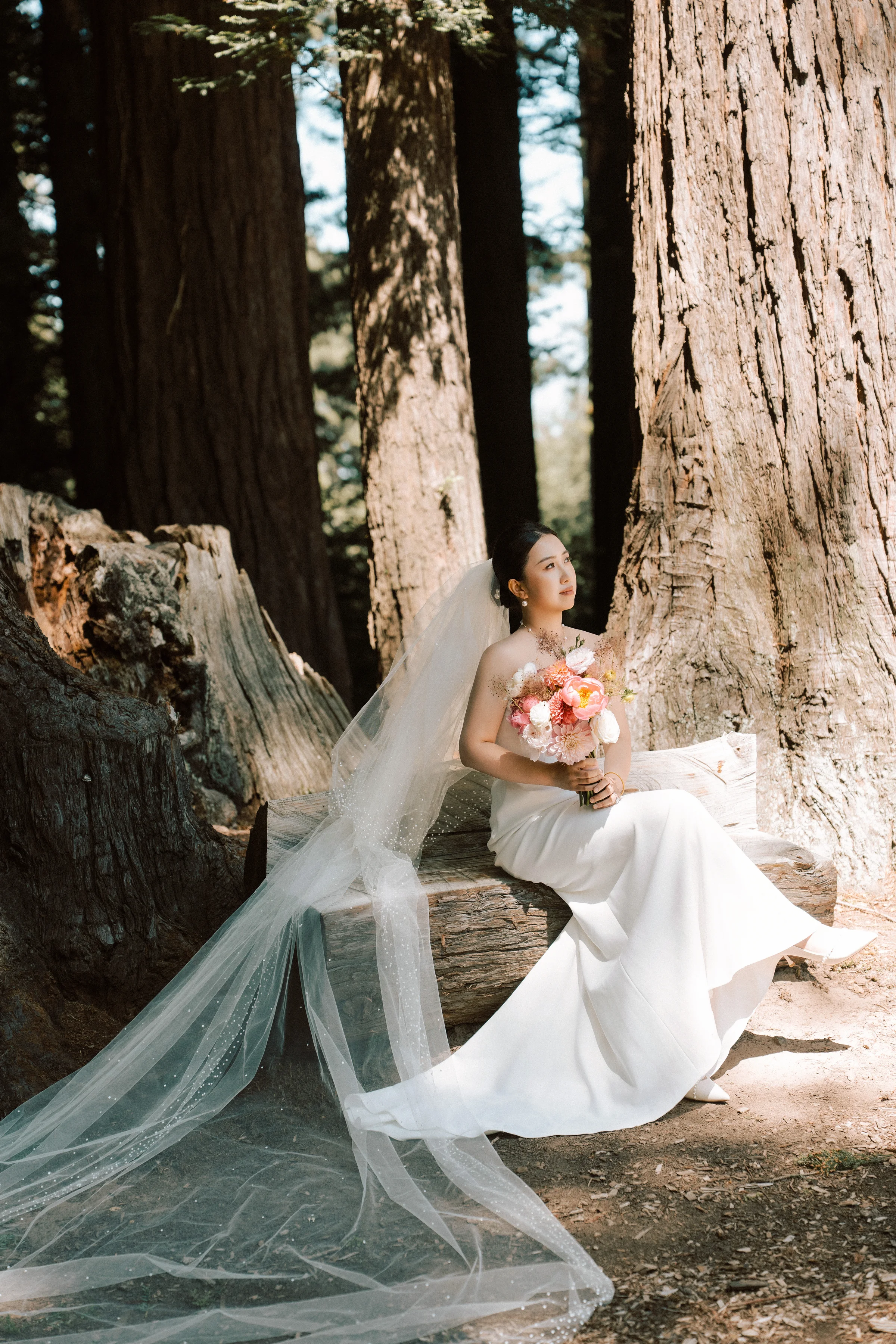Bride seated against a redwood trunk with her veil and bouquet spread out