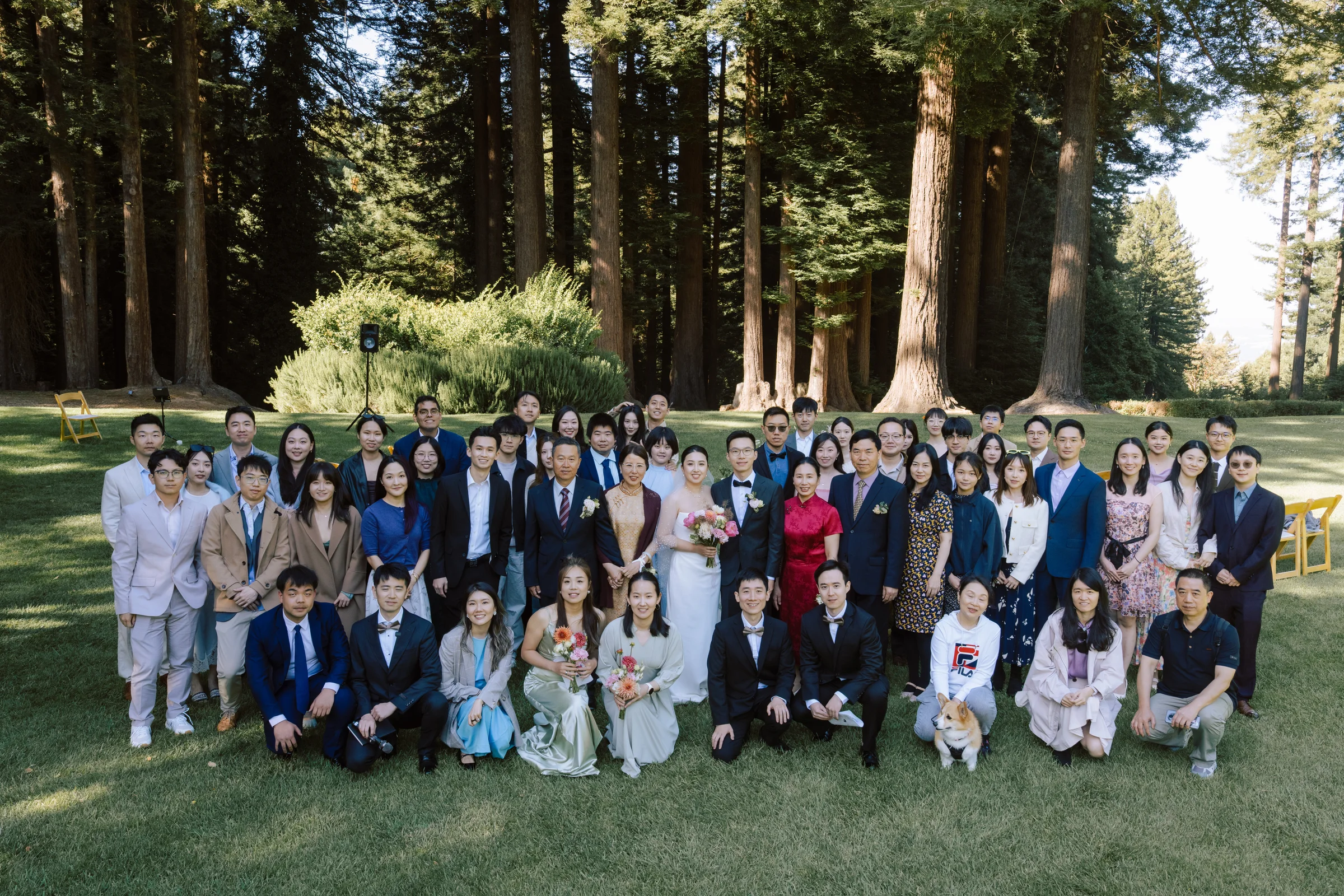 Large group portrait of all the guests in the redwood grove