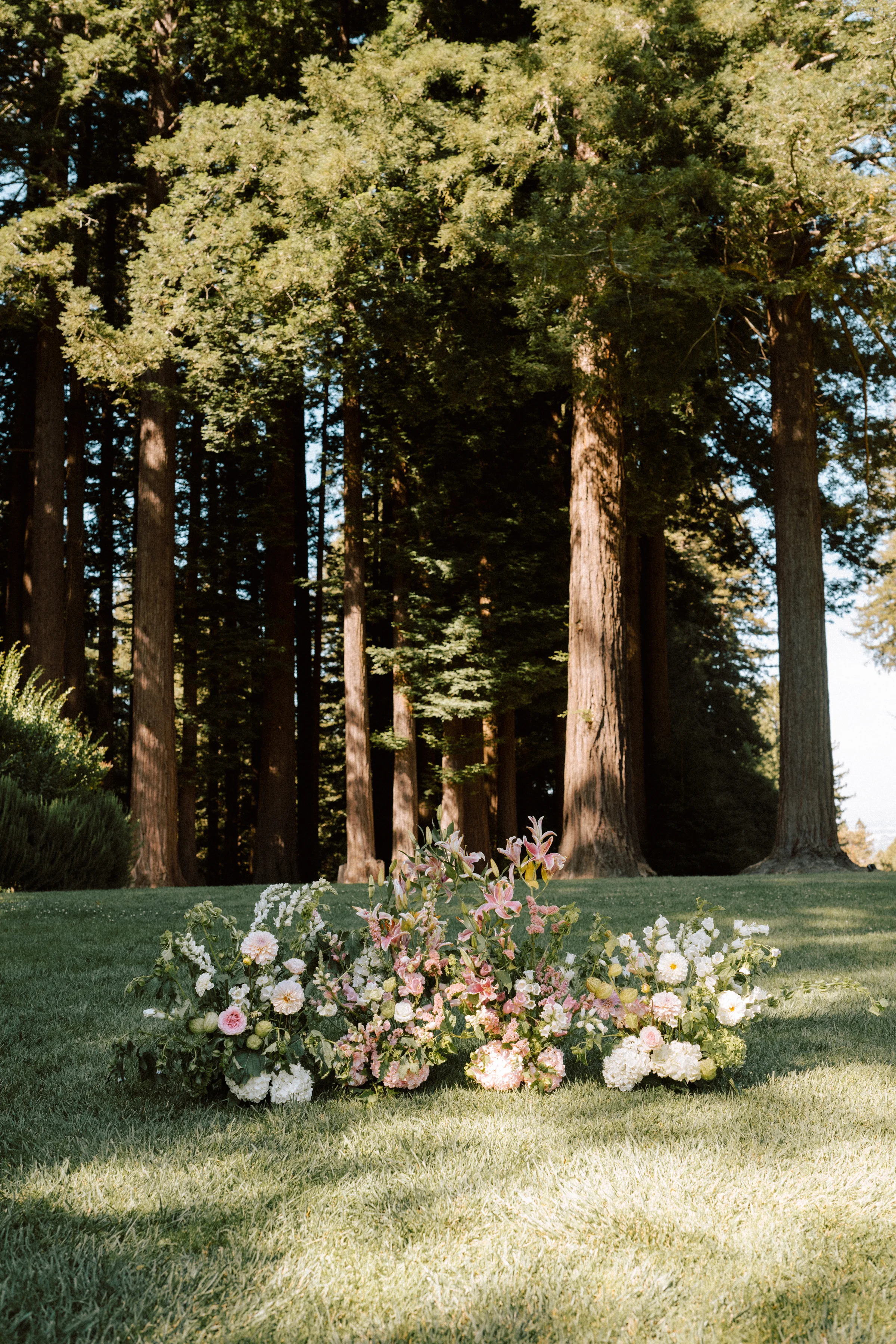 Cream and blush floral installation at the base of towering redwoods