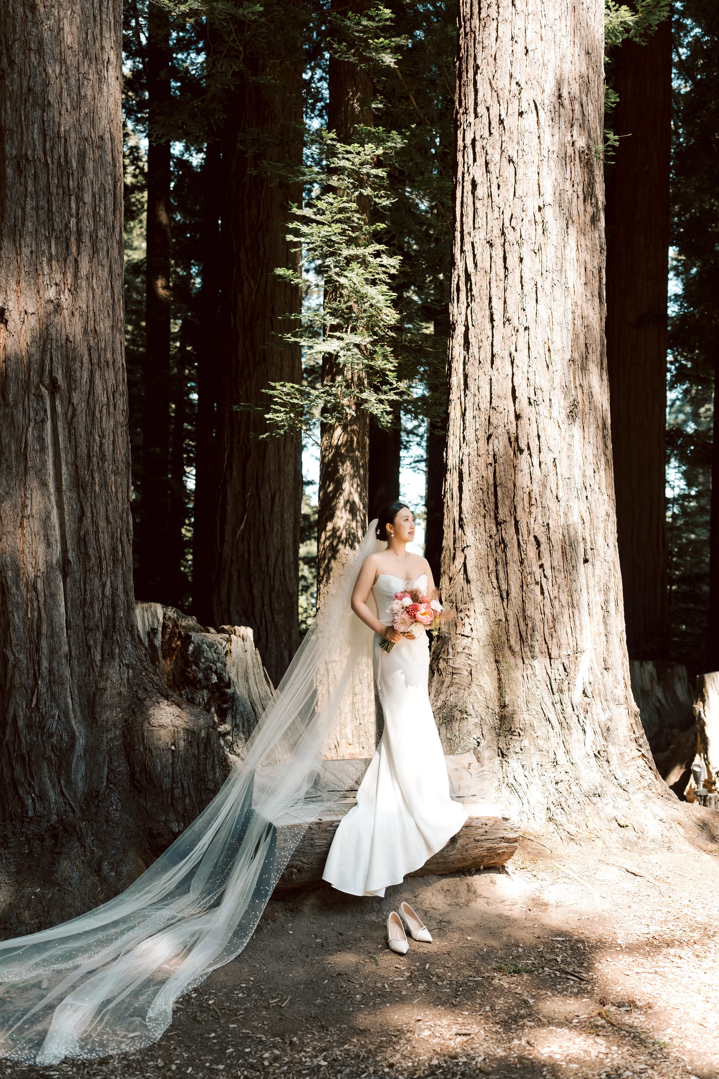 Bride in her veil looking up at the towering redwoods, train trailing