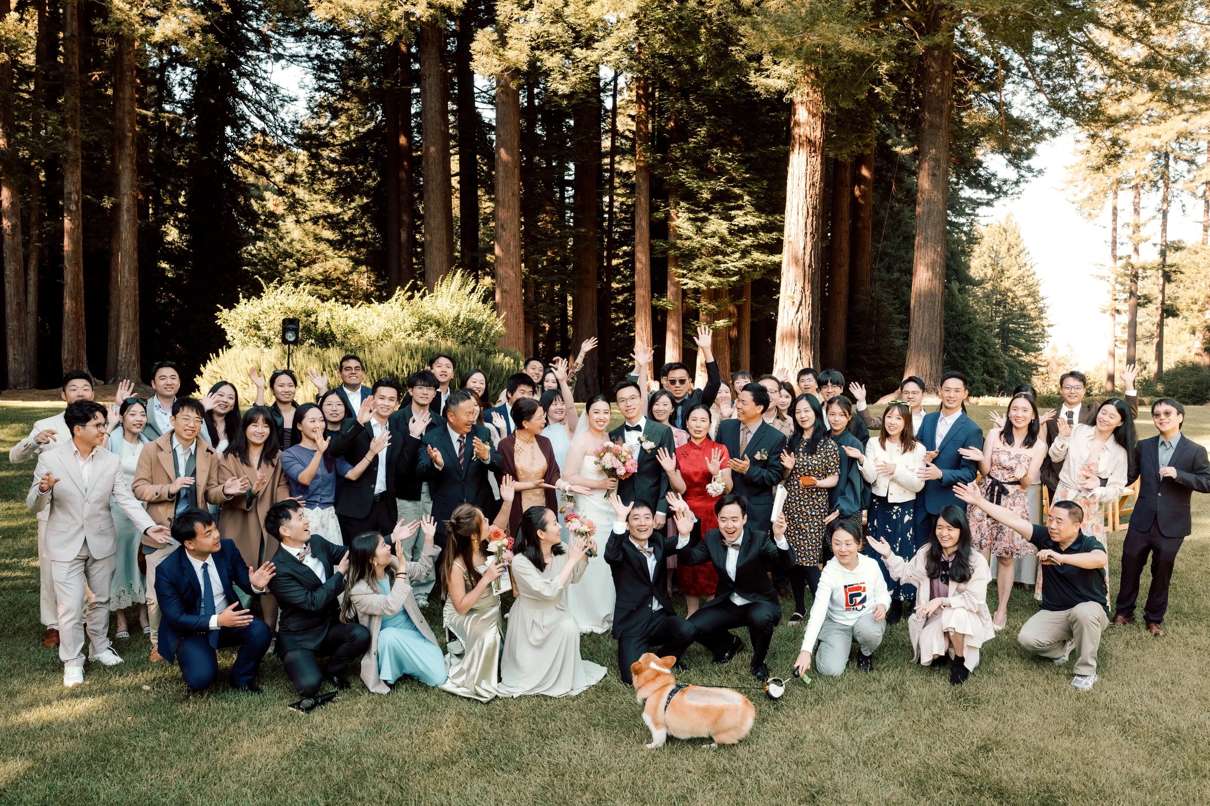 Couple seated together against a large redwood trunk, the bride's train spread