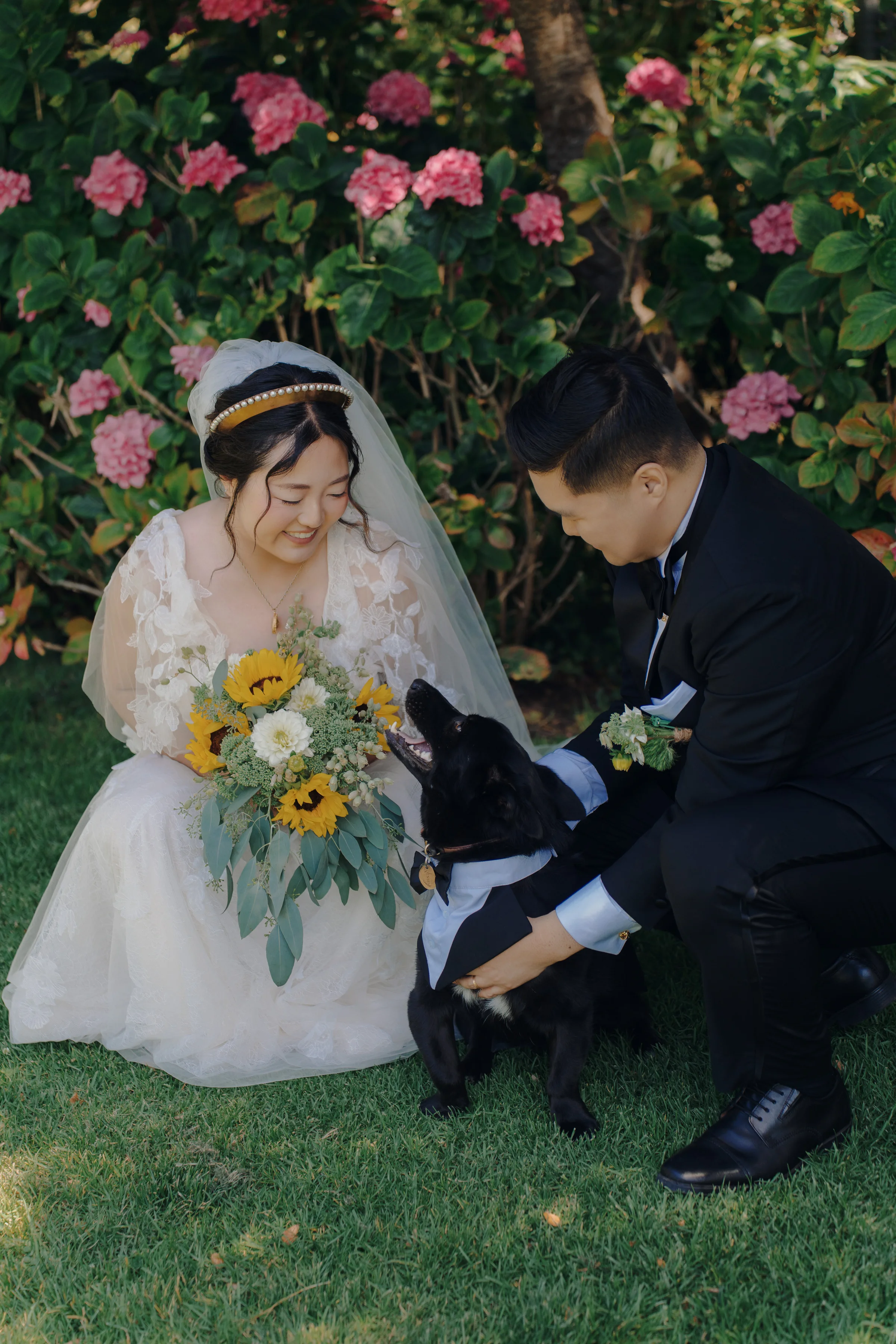 Newlyweds sit on the lawn with their black dog as the bride holds her sunflower bouquet.