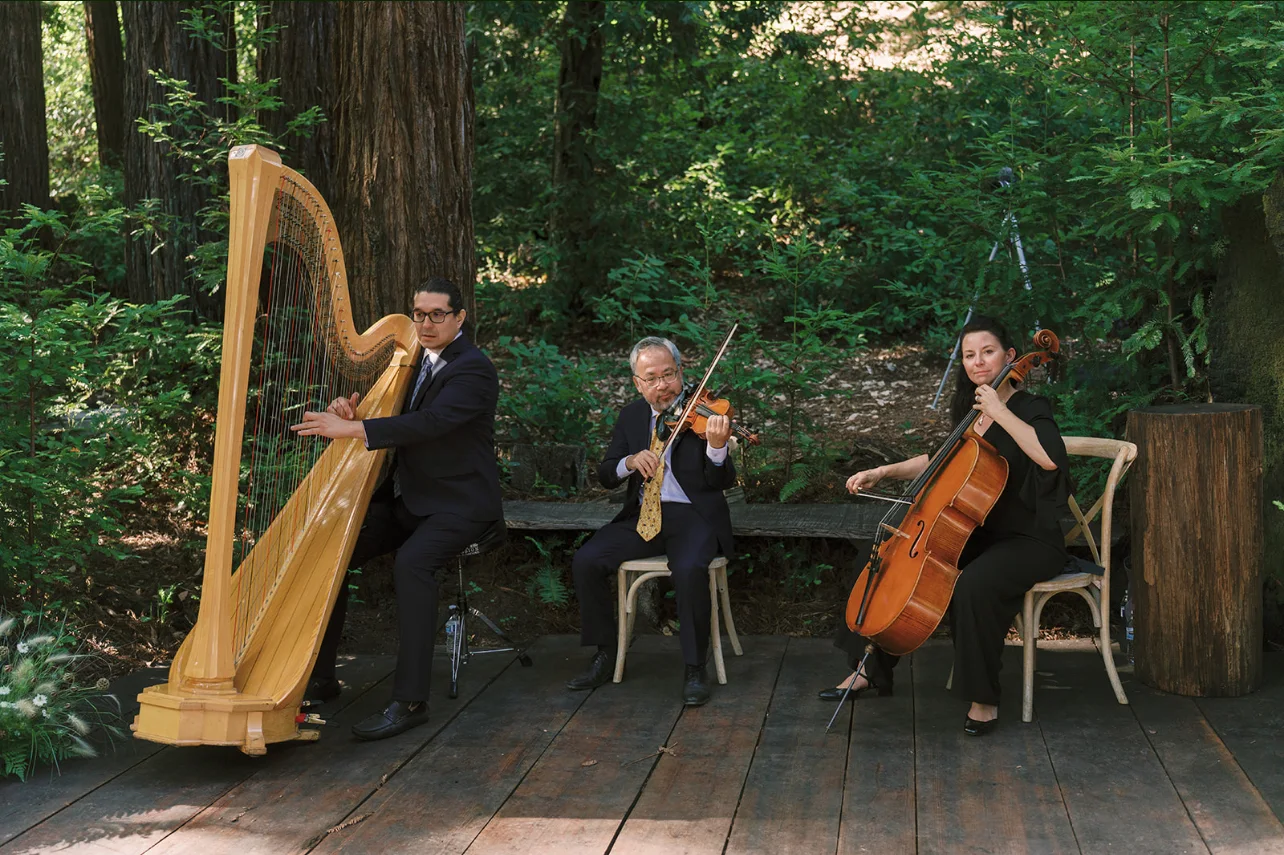 Harpist, violinist, and cellist performing beside the woodland ceremony platform.