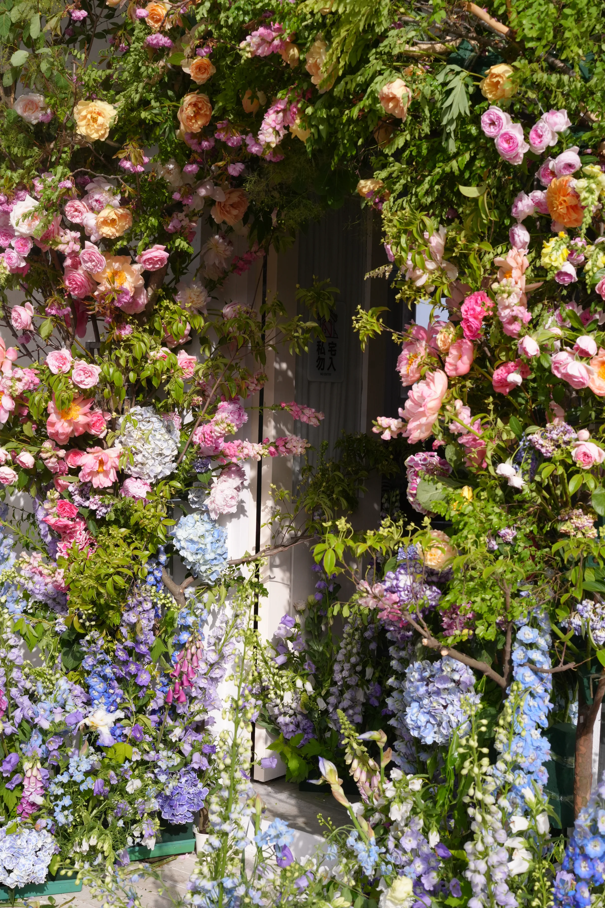 Lush floral installation of garden roses, hydrangeas, and delphiniums in pink, peach, and blue framing a sunlit doorway